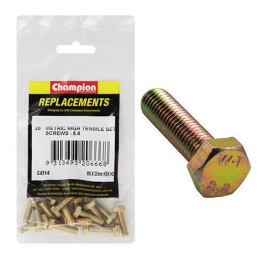 Champion Hex Set Screw High Tensile M6 x 20mm Grade 8.8 - C431-6