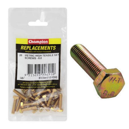 Champion Hex Set Screw High Tensile M6 x 25mm Grade 8.8 - C480-7