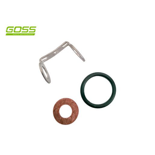 Goss Fuel Injector Seal Kit - DWK200