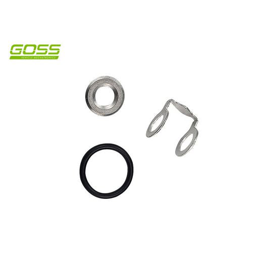 Goss Fuel Injector Seal Kit - DWK100