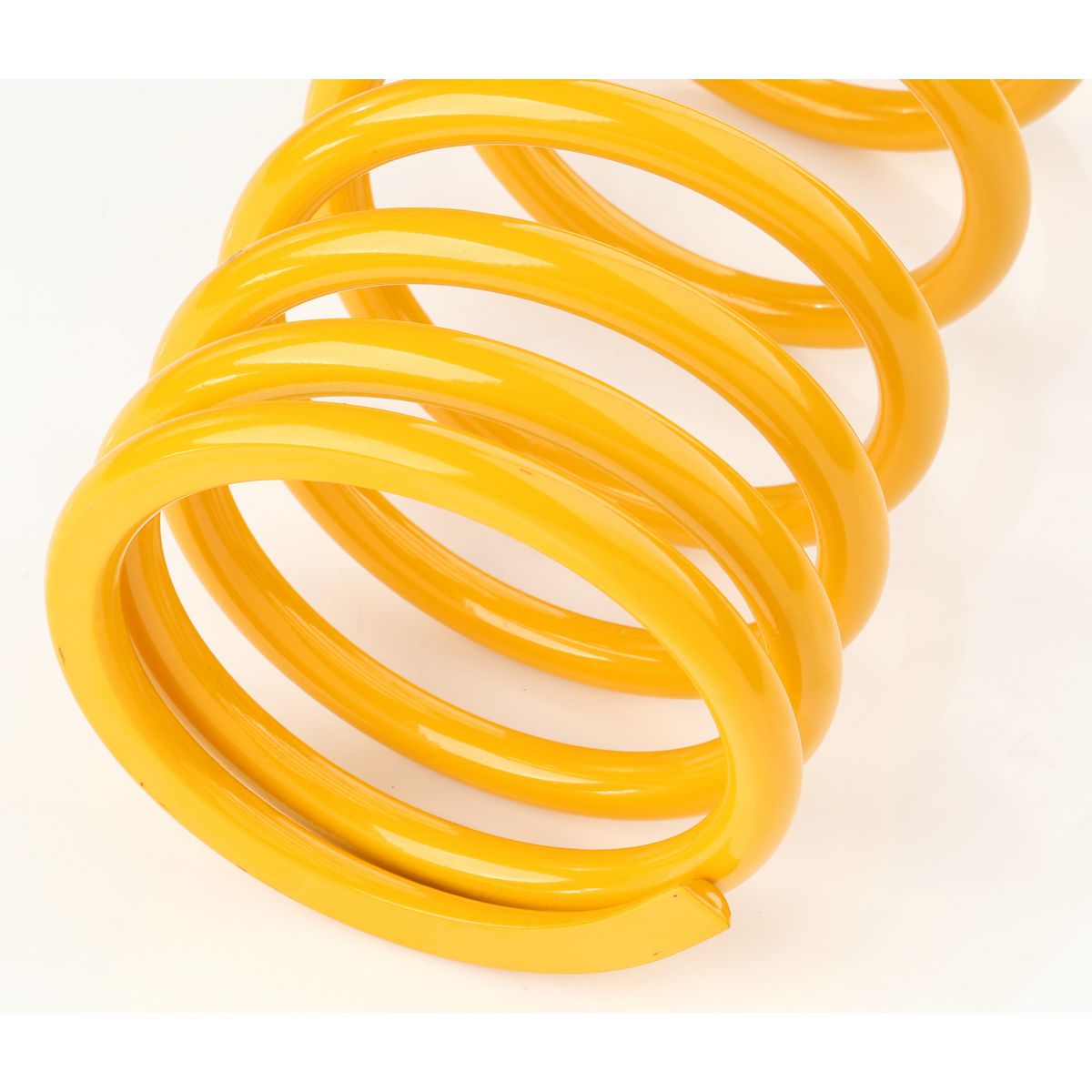 King Springs Coil Springs Standard Rear - KCRS-23
