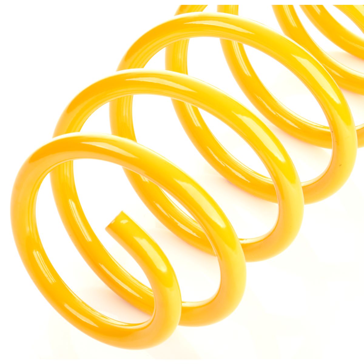 King Springs Coil Springs Standard Rear - KTRS-95