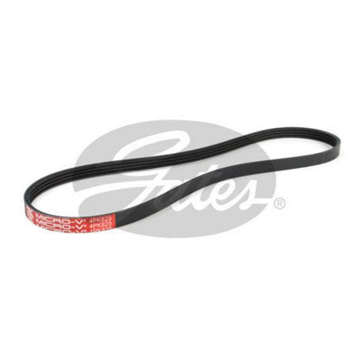 Gates Ribbed Belt - 4PK825