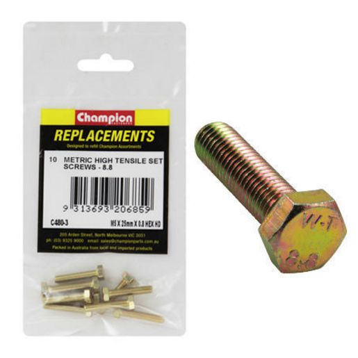 Champion Hex Set Screw High Tensile M5 x 25mm Grade 8.8 - C480-3