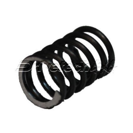 Drivetech 4x4 5th Gear Detent Spring - 087-139031