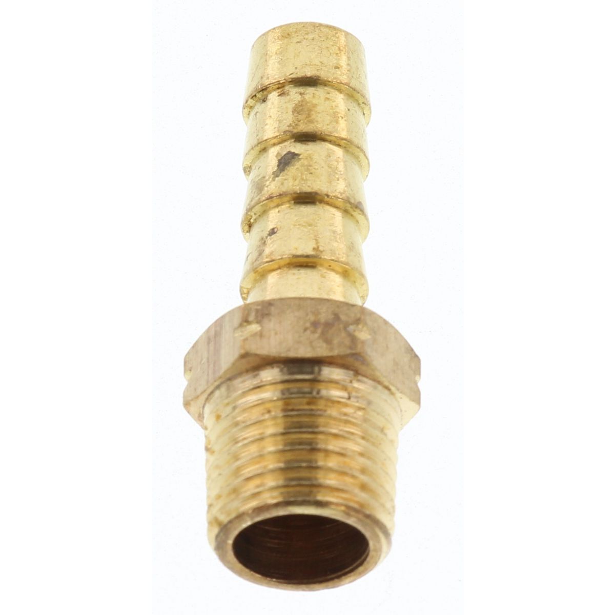 Champion Hose Tail Straight Male Brass 5/16in x 1/4in - HC20