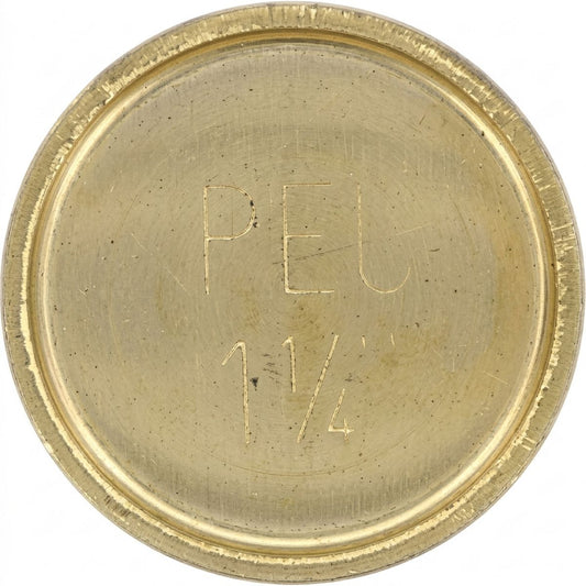 Kelpro Brass Welch Plug 1 1/4In - RBC1014