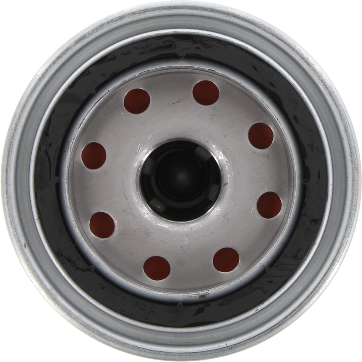 Ryco Oil Filter - Z79A