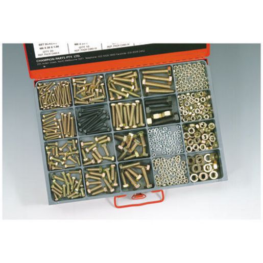 Champion Fine Metric Set Screw & Nut Master Kit - CA480