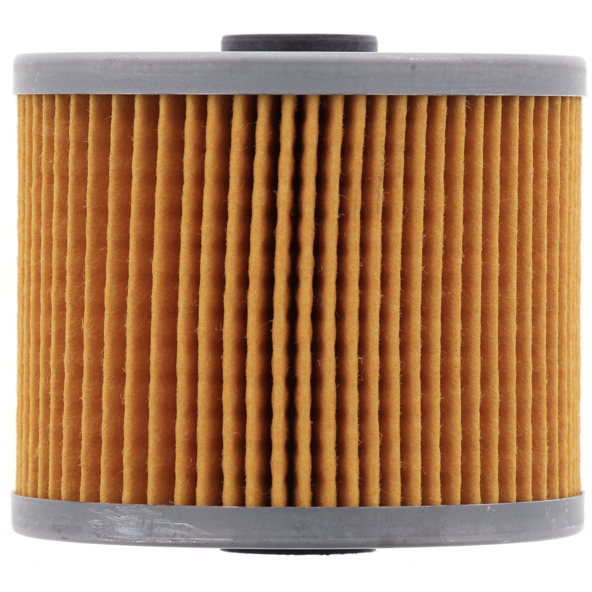 Ryco Fuel Filter - R2423P