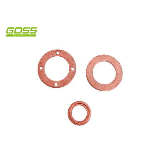 Goss Fuel Injector Seal Kit - DWK250