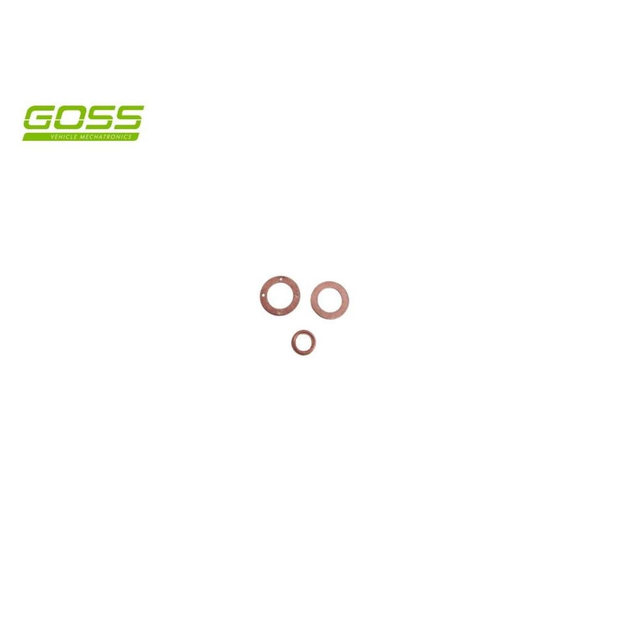 Goss Fuel Injector Seal Kit - DWK250