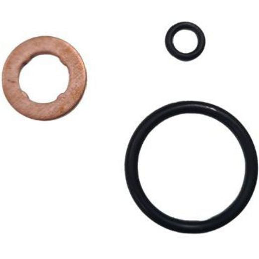 Goss Fuel Injector Seal Kit - DWK904