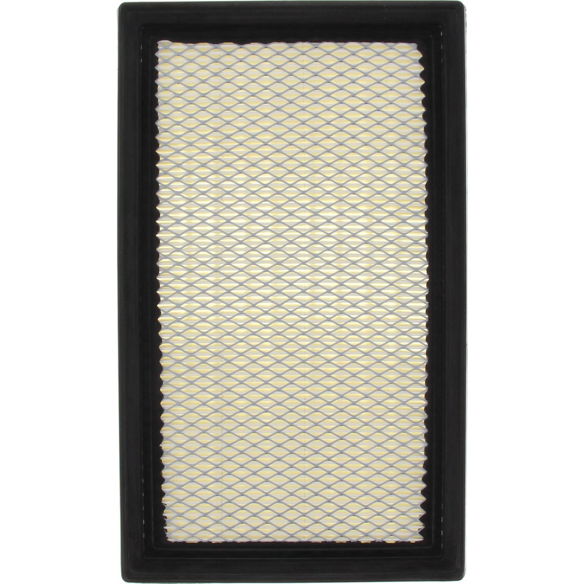 Ryco Air Filter - A360