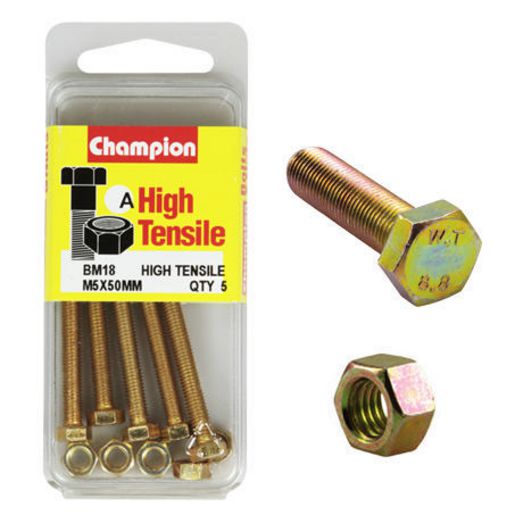 Champion Hex Set Screw & Nut High Tensile M5 x 50mm Grade 8.8 - BM18