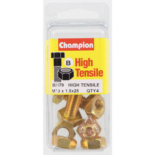 Champion Hex Set Screw & Nut High Tensile M10 x 25mm Grade 8.8 - BM79