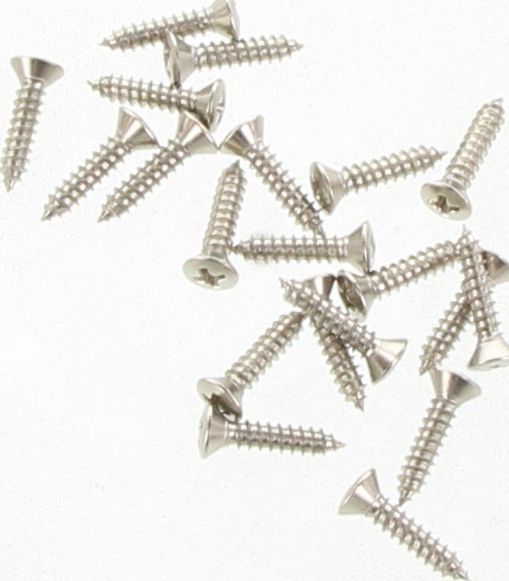 Champion Self Tapper Screw Rsd Phillips 4.2 x 19mm Nickel Plated - BH156