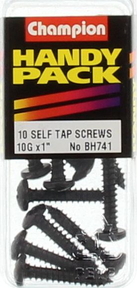 Champion Self Tapper Screw Pan Phillips 4.8 x 25mm Black - BH741