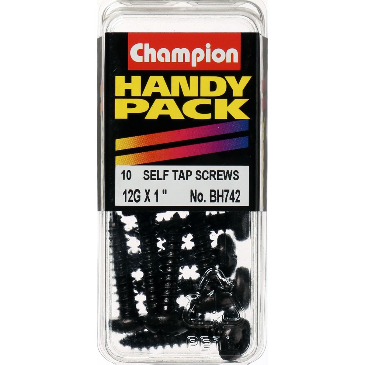 Champion Self Tapper Screw Pan Phillips 5.5 x 25mm Black - BH742