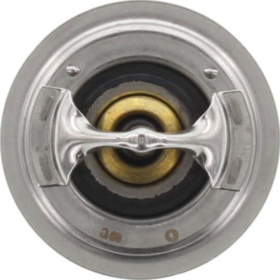 Dayco Thermostat 73mm 89 Degrees C - DT38G
