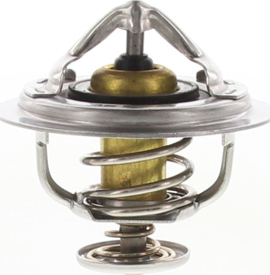 Dayco Thermostat 73mm 89 Degrees C - DT38G