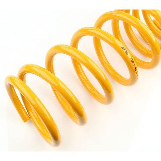 King Springs Coil Springs Raised Rear - KDPR-43