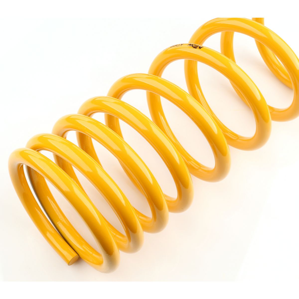 King Springs Coil Springs Raised Rear - KDPR-43