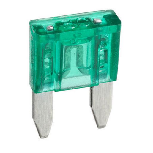 Narva Mini Blade Fuse 30A Green 50 Pack - 52730