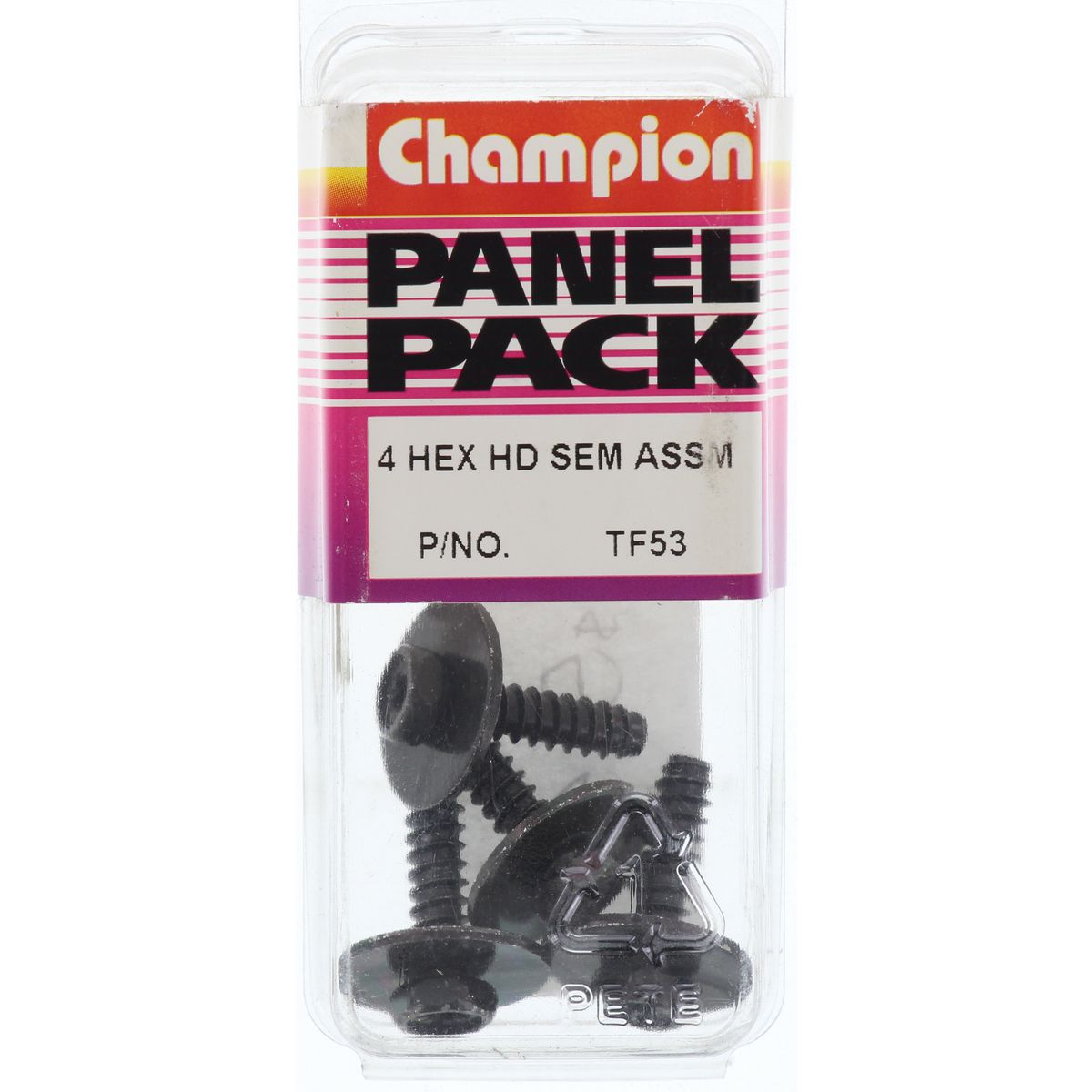 Champion Self Tapper Screw Sems Hex Combo Drive Flat Washer 5.5x19mm - TF53