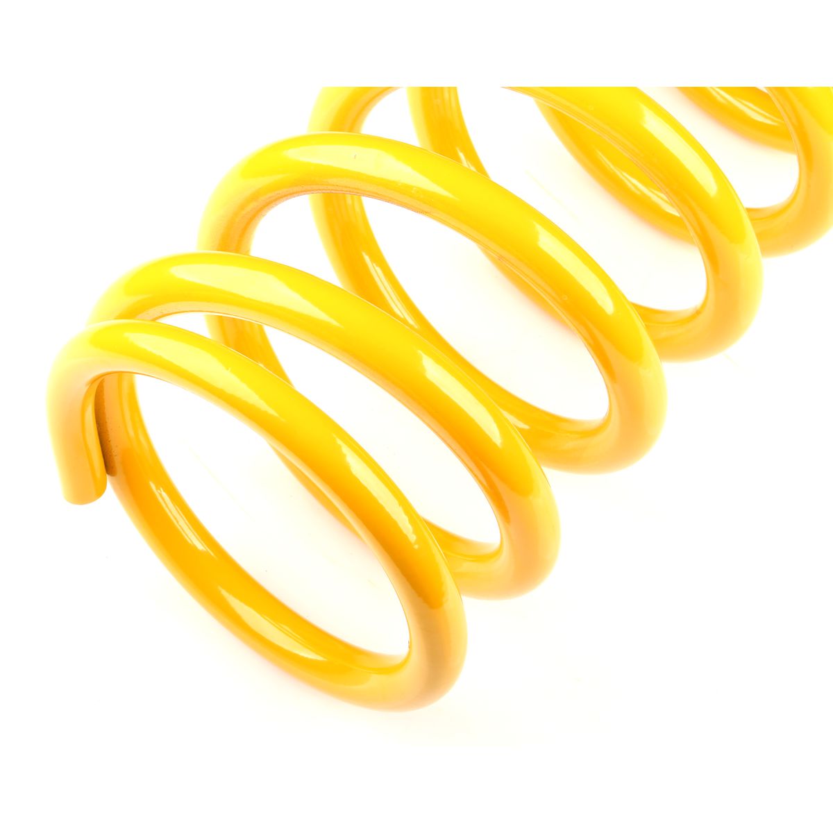 King Springs Coil Springs Raised Rear - KDPR-59