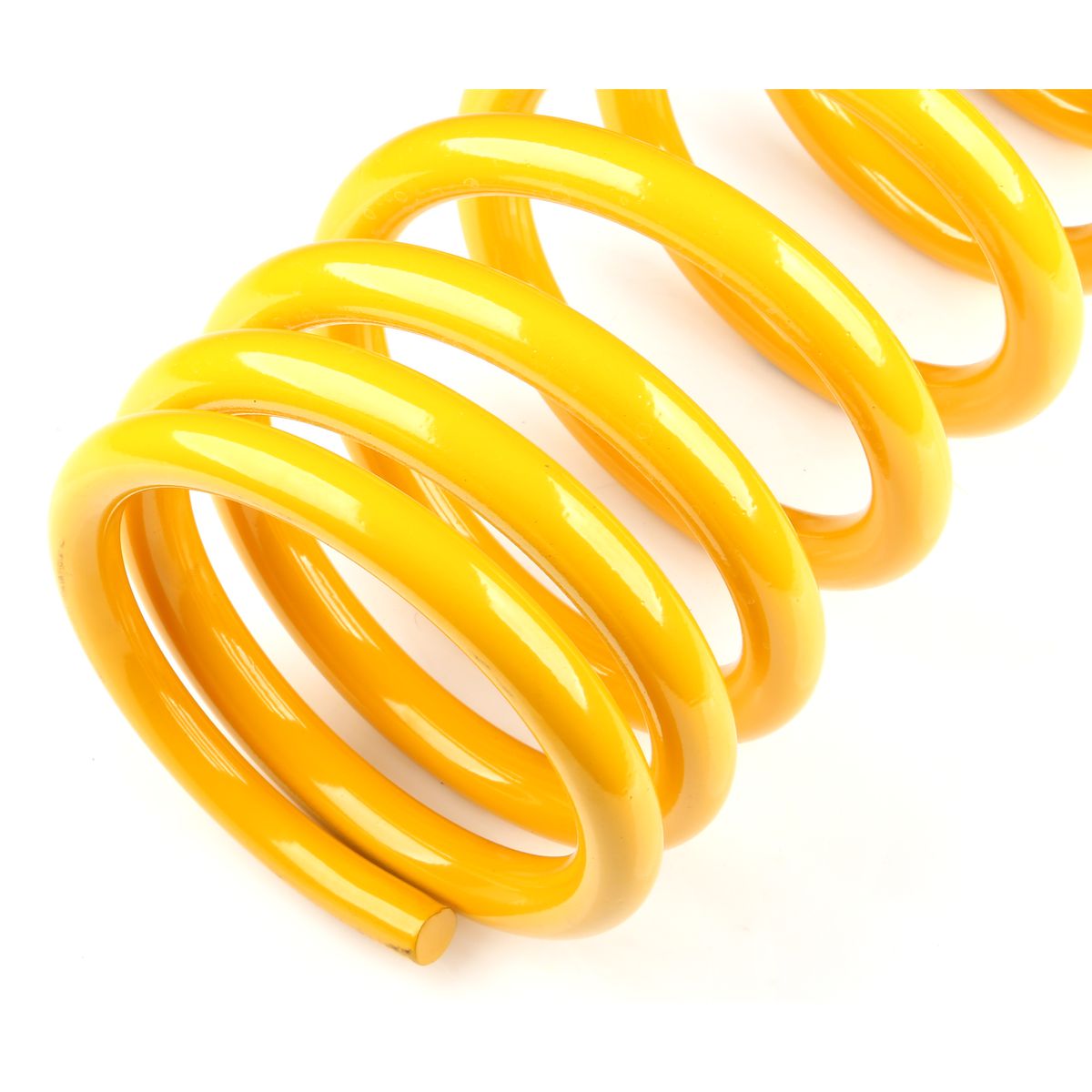 King Springs Coil Springs Raised Rear - KDPR-59