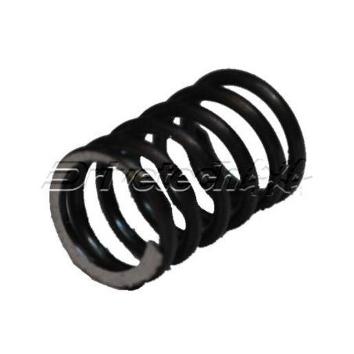 Drivetech 4x4 5th Gear Detent Spring - 087-139031