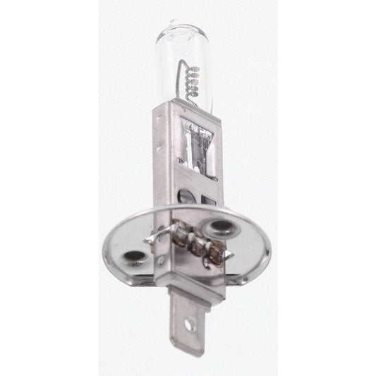 Narva H1 P14.5s Globe 24V 55W - 48701