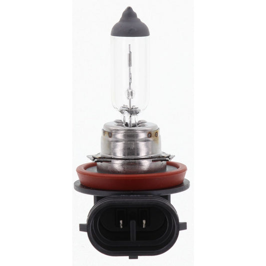 Narva H8 PGJ19-1 Globe 12V 35W - 48076