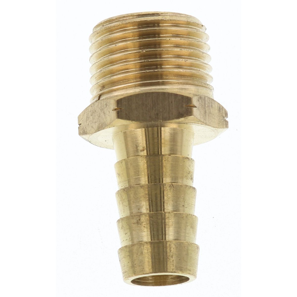 Champion Hose Tail Straight Male Brass 1/2in x 1/2in - HC29