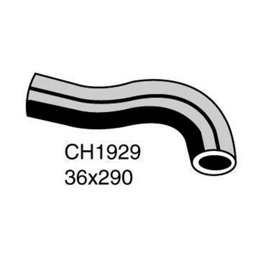Mackay Radiator Hose Lower - CH1929
