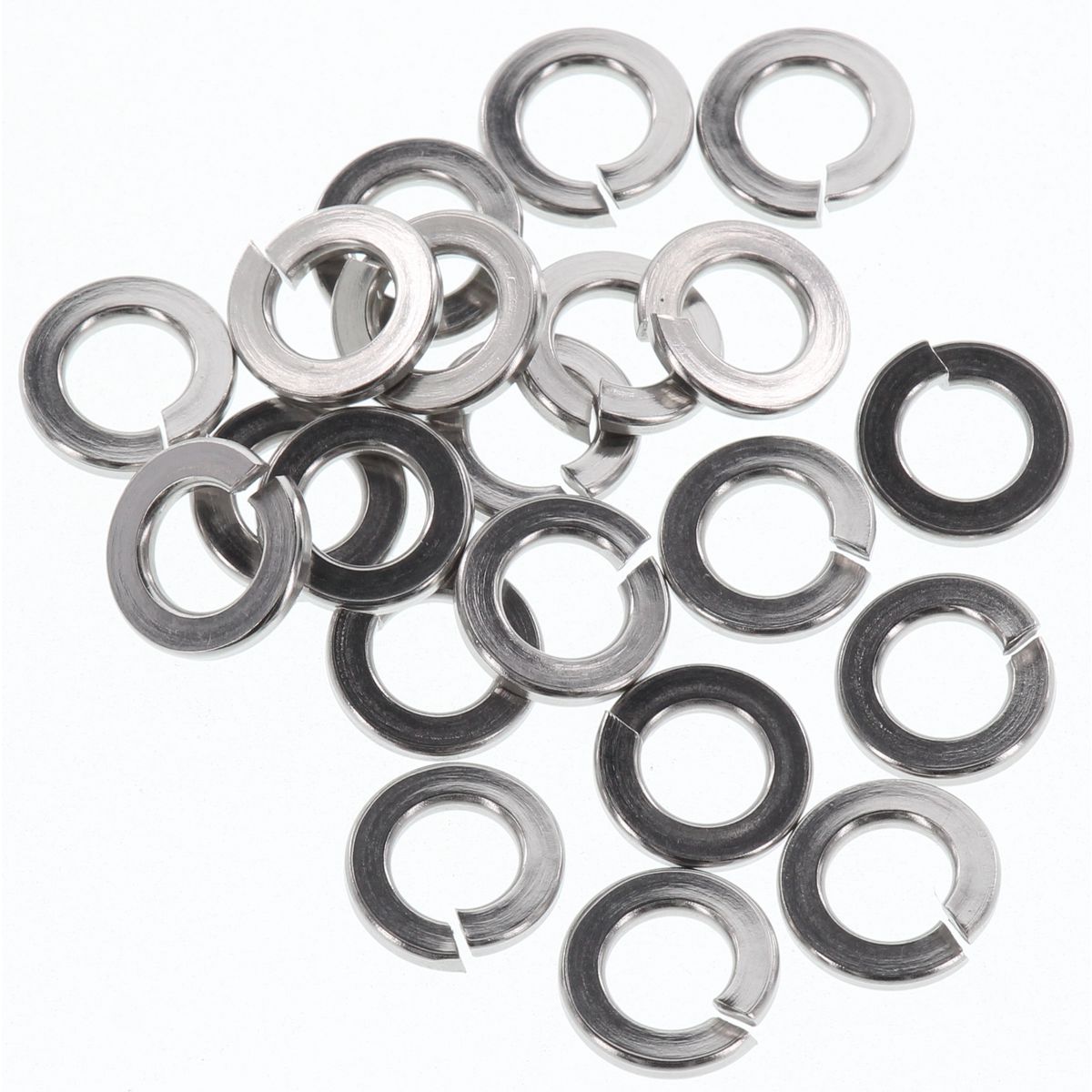 Champion Washer Spring Stainless Steel 6mm 316/A4 - CSP118