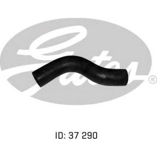 Gates Radiator Hose Upper - 05-1926