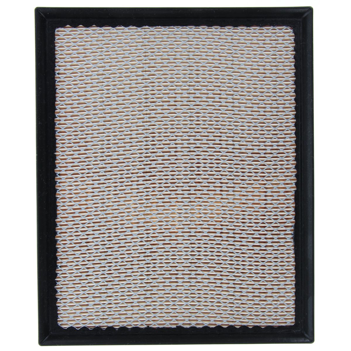 Ryco Air Filter - A1829