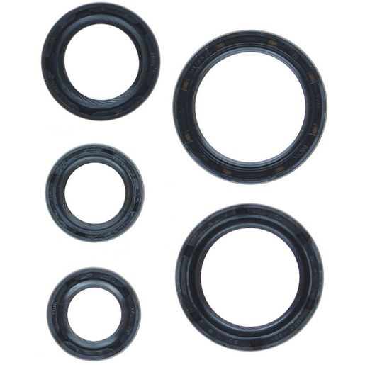 Permaseal Oil Seal Kit - SK002