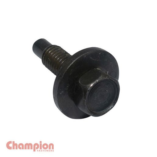Champion Hex Set Screw Sems Hex Ind Flat Washer Pilot M5 x 19mm - CBP183