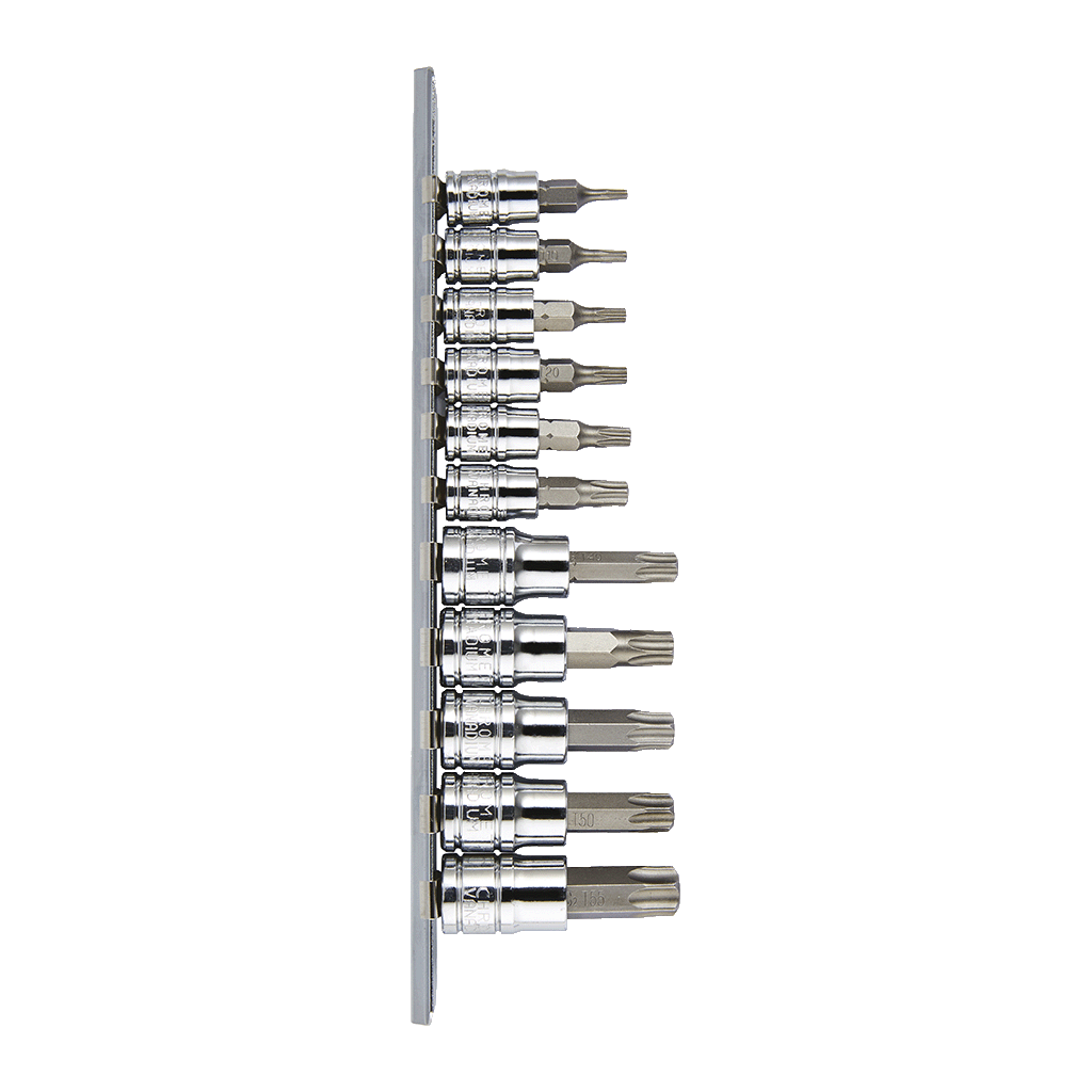Mechpro Blue Socket Rail Set Torx 11pc - MPBSK120K