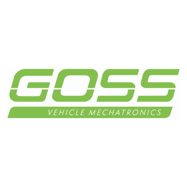 Goss Fuel Injector Seal Kit - DWK175